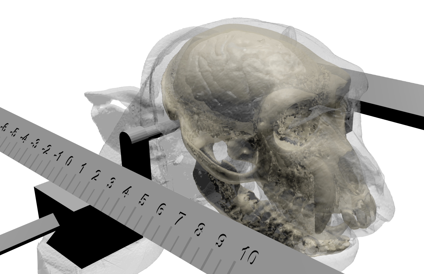 Slicer Example Screenshot